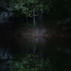 WHEN DARKNESS FALLS