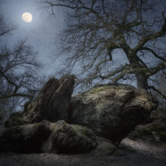 MOONMADNESS