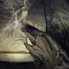 ALCHEMY