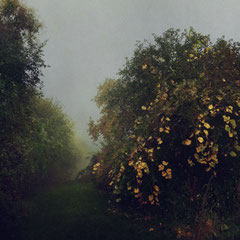 RANDOM PLACES #7