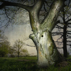 A GHOST IN SPRINGTIME