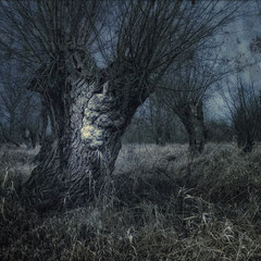 <span style="font-family: Ubuntu Condensed; letter-spacing:0.3em;">FEAR NO GHOSTS!</span><br