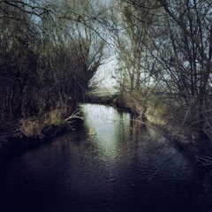 RIPPLES
