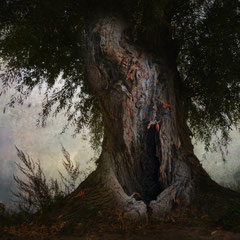 AN EERIE SILENCE