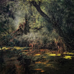 THE SOUND OF FROGS CROAKING