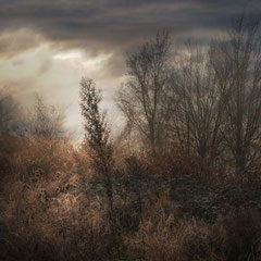 GHOSTLAND VI