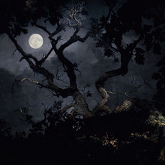 <span style="font-family: Ubuntu Condensed; letter-spacing:0.3em;">ANOTHER SLEEPLESS NIGHT (REMIX)</span><br>