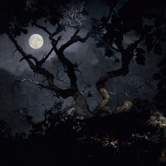 <span style="font-family: Ubuntu Condensed; letter-spacing:0.3em;">ANOTHER SLEEPLESS NIGHT (REMIX)</span><br>