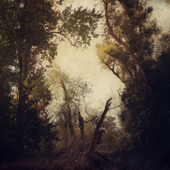 TO BE WHERE I AM