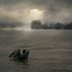 THE DIVER
