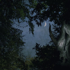 THE SLEEPLESS NIGHT