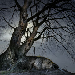 WHATEVER LIES SLEEPING