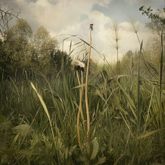 RANDOM PLACES #46