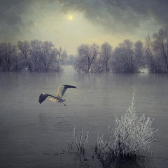 WHEN WINTER CAME TO STAY XII