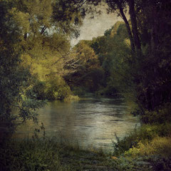 AN IDYLL