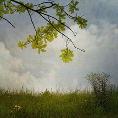 THE COLOUR OF SPRING