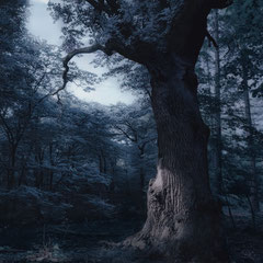 SLOW DARK