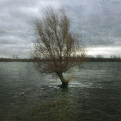 WIND ON WATER