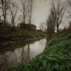 RAINY MORNING