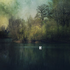 SWAN LAKE