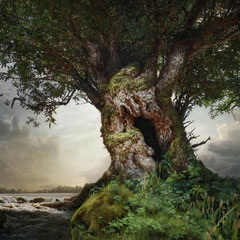 <span style="font-family: Ubuntu Condensed; letter-spacing:0.3em;">ALONG LOST RIVERS (REMIX)</span><br>
