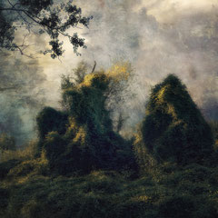 AMONG GREEN GHOSTS