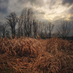 BEFORE SUNSET