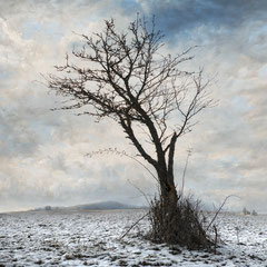 <span style="font-family: Ubuntu Condensed; letter-spacing:0.3em;">THE LONELY WINTER IV</span> </p>