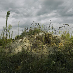 THE MOUND