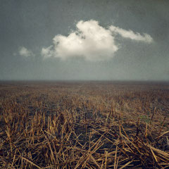 I'VE SEEN THIS CLOUD BEFORE