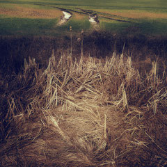 THE TRACES LEFT BEHIND