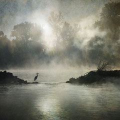 SILVER MORNING
