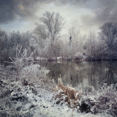 WHEN WINTER CAME TO STAY IX