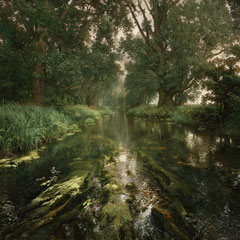 THE BROOK'S MELODY II