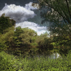 THE POND