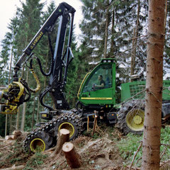 Harvester-Einsatz im Estenberg, ausgeführt durch ein österreichisches Unternehmen