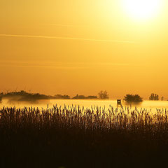 Goldener Morgen, Hölle