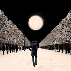 Jardin Palais Royal   Paris 