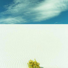 White sand Usa travel 