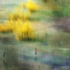 Les genets /digital color Landscape edition Limited 2/20