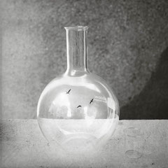 Nature Morte .