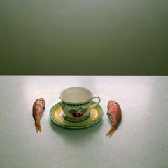 the fish is mute