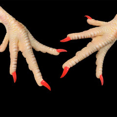main de poulet for danse 