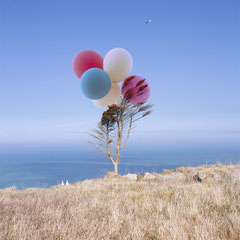 Atbre au Ballon Belle ile France 