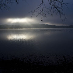Der Neffelsee an einem Dezembertag