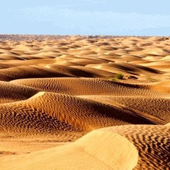 Ksar Ghilane, Sahara