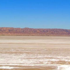 Chott el Jerid