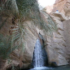 Mountain oasis in the Atlas