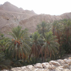 Oasis de montagne à l´Atlas