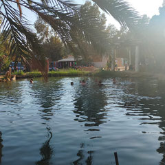 Ksar Ghilane, Sahara